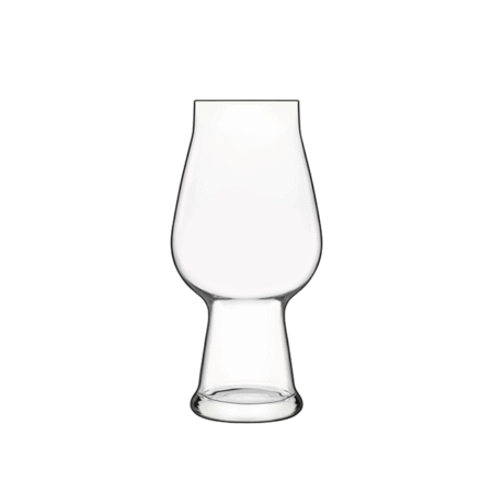Birrateque IPA 540ml